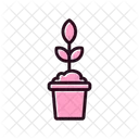 Plant Pot  Icon