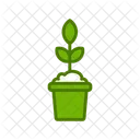 Plant Pot  Icon