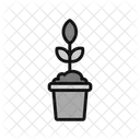 Plant Pot Pot Plant Icon