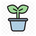 Plant Pot  Icon