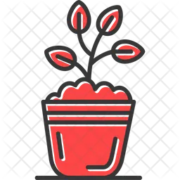 Plant Pot  Icon