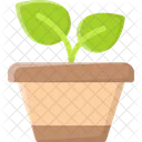 Plant Pot Leaf Ecology Icon