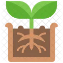 Plant Pot Growth Icon