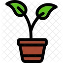 Plant Pot Ecologic Energy Icon