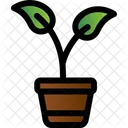 Plant Pot Ecologic Energy Icon