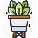 Plant Pot  Icon