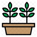 Plant Filledoutline Icon