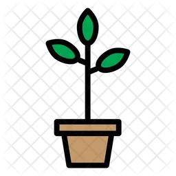 Plant Pot  Icon