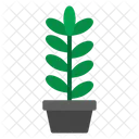 Plant Flat Icon