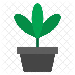 Plant Pot  Icon