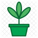Plant pot  Symbol