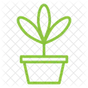 Plant Pot  Icon