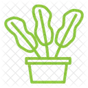 Plant Pot Plant Nature Icon