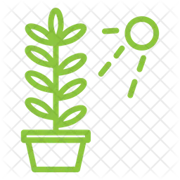 Plant Pot  Icon