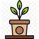Plant Pot Green Houseplant Icon
