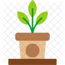 Plant Pot Green Houseplant Icon