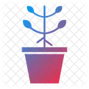 Plant Nature Pot Icon