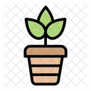 Plant Pot Plant Pot Icon