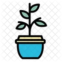 Plant Pot Plant Nature Icon