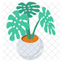 Plant Pot Houseplant Indoor Plant Icon