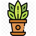 Plant Pot Indoor Room Icon