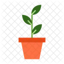 Plant Pot Plant Nature Icon