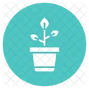 Plant Pot Plant Nature Icon