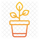 Plant Pot Plant Nature Icon