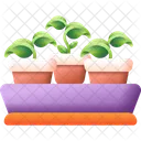 Plant Pot Plant Nature Icon