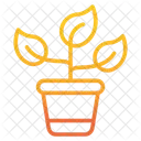 Plant Pot Plant Nature Icon