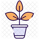 Plant Pot Plant Nature Icon