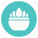 Plant Pot Plant Nature Icon