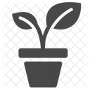 Plant pot  Icon