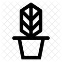 Plant Pot  Icon