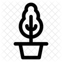 Plant Pot  Icon