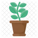Plant Pot  Icon