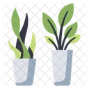 Plant Pot  Icon