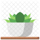 Plant Pot  Icon