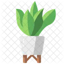 Plant Pot  Icon