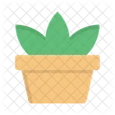 Plant Pot  Icon