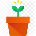 Plant Pot  Icon