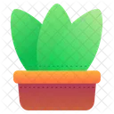 Plant Pot  Icon
