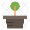 Plant Pot  Icon