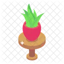Plant Pot  Icon