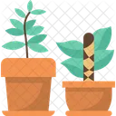 Plant Pot  Icon