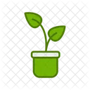 Plant Pot  Icon