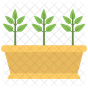 Plant Pot Green Icon