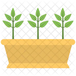Plant Pot  Icon