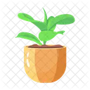 Plant Pot Decorative Pot Indoor Plant Icon