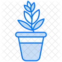 Plant pot  Icon